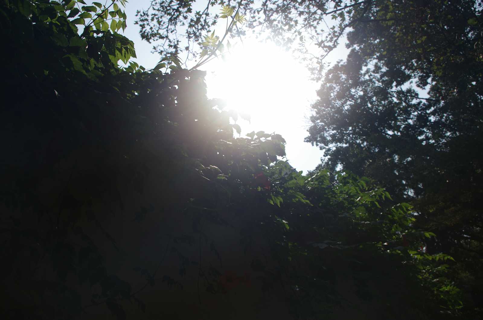 Flutter to Native Code Migration: Supabase | 4/5